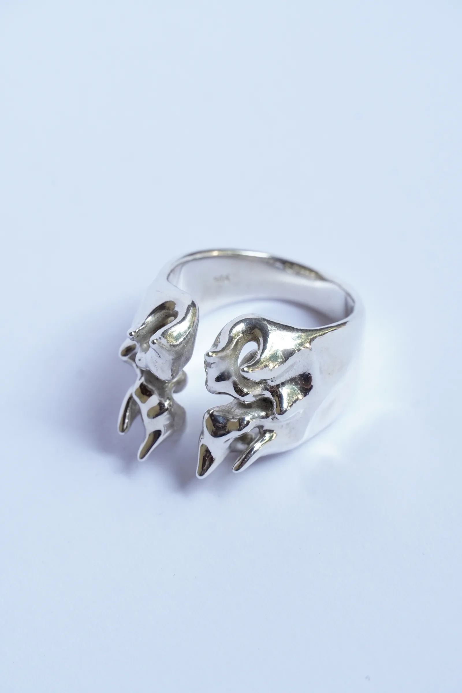 tercer molar (s) 3