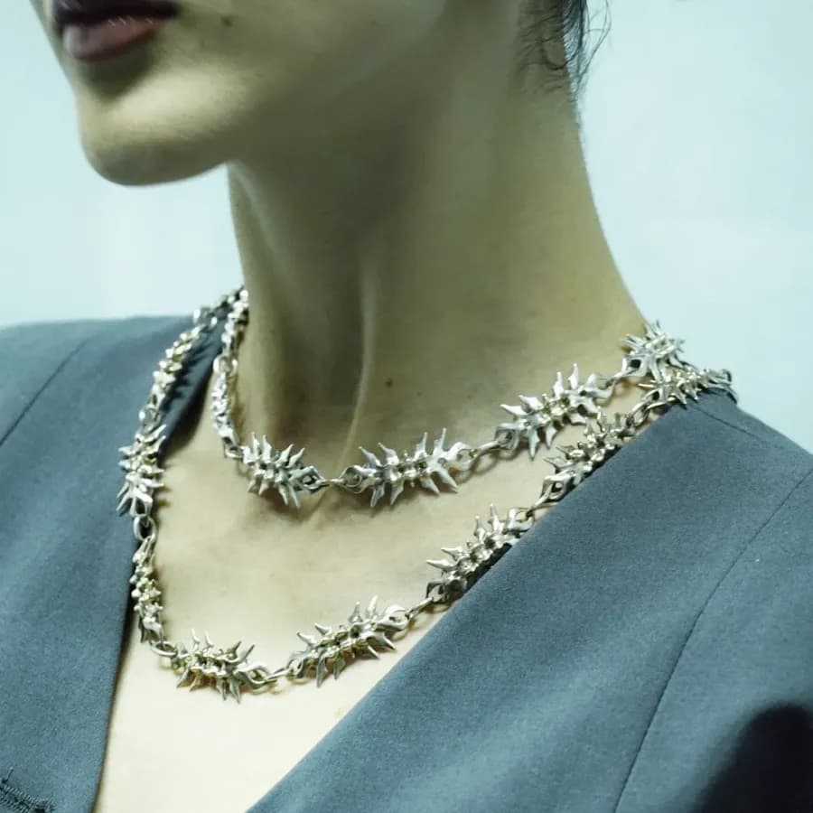 vertebral chain (11) 6