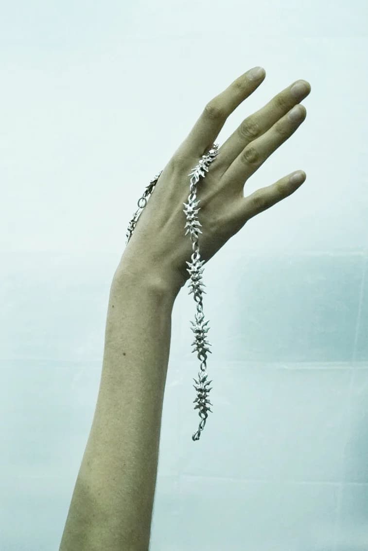 vertebral chain (11) 8