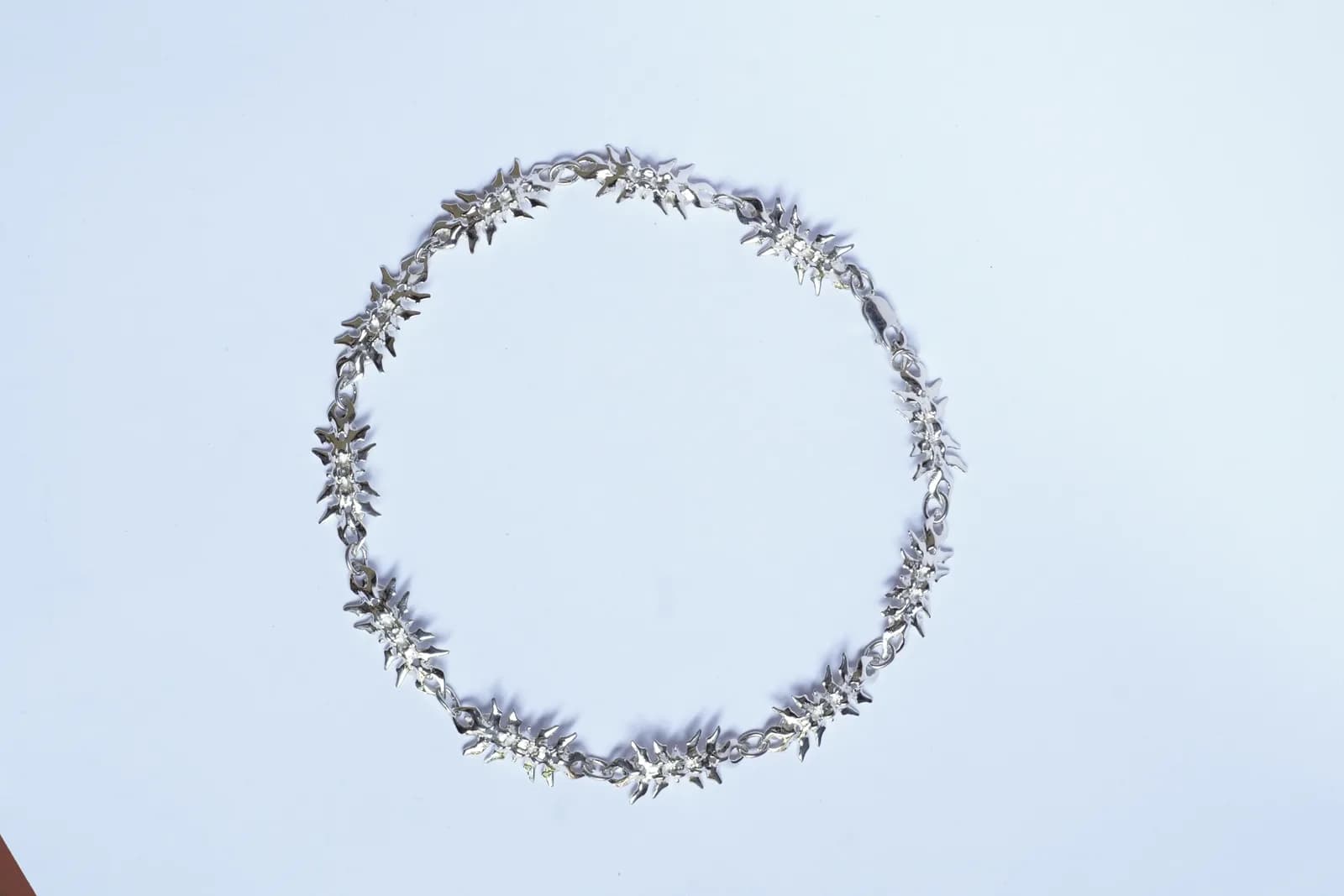 vertebral chain (11)