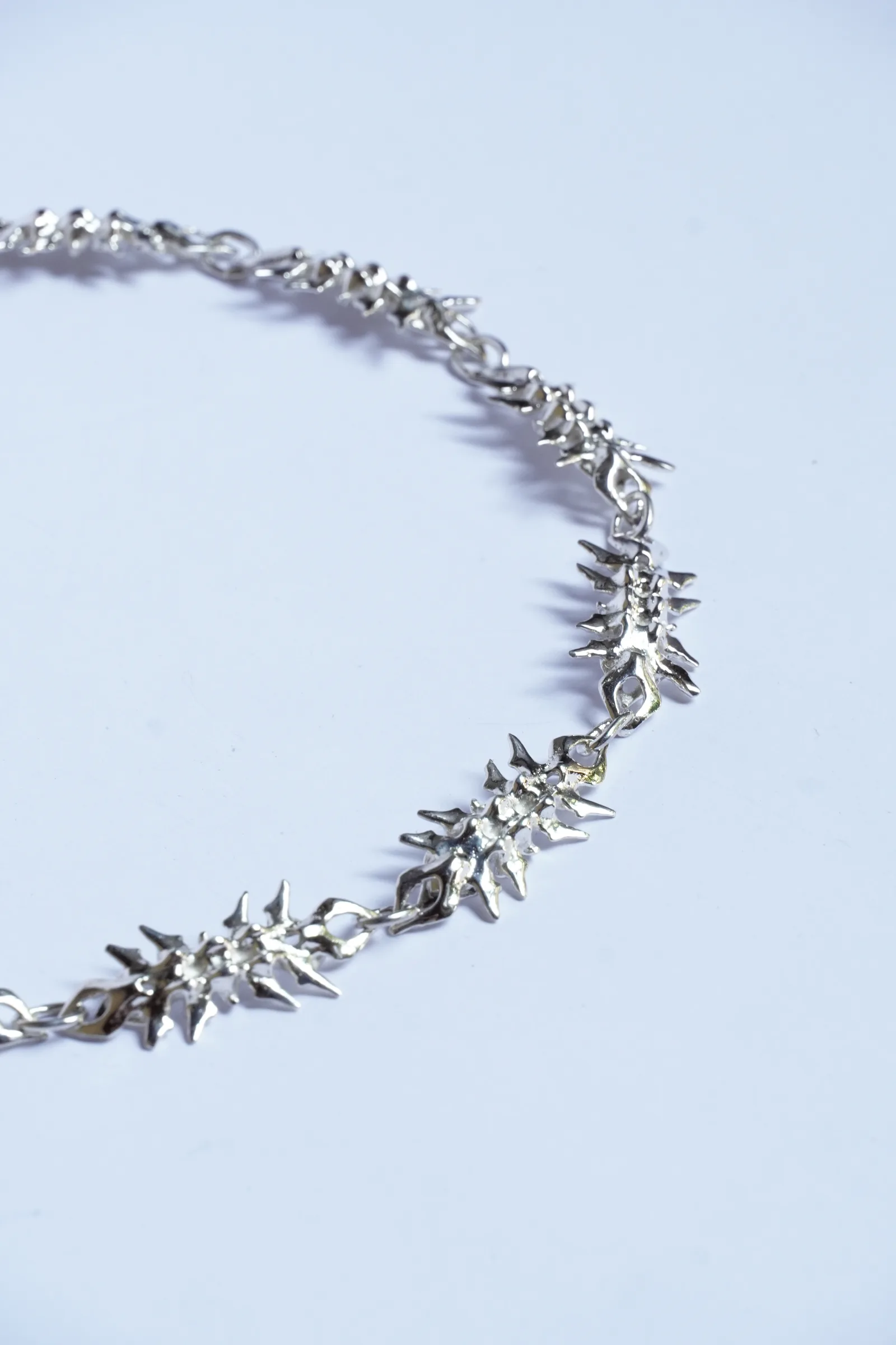 vertebral chain (11) 2
