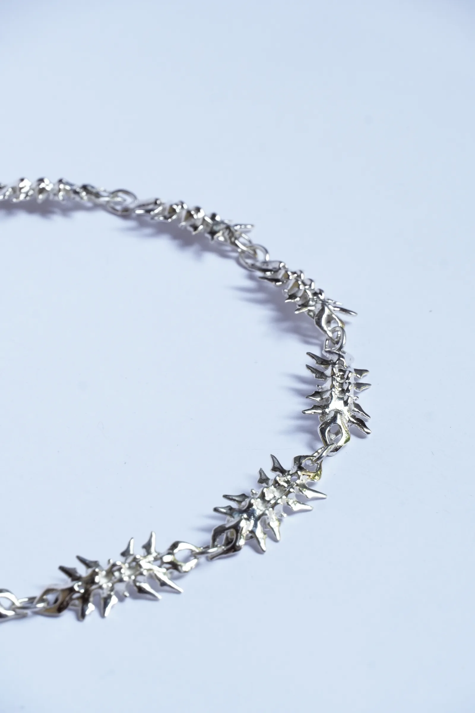 vertebral chain (11) 3