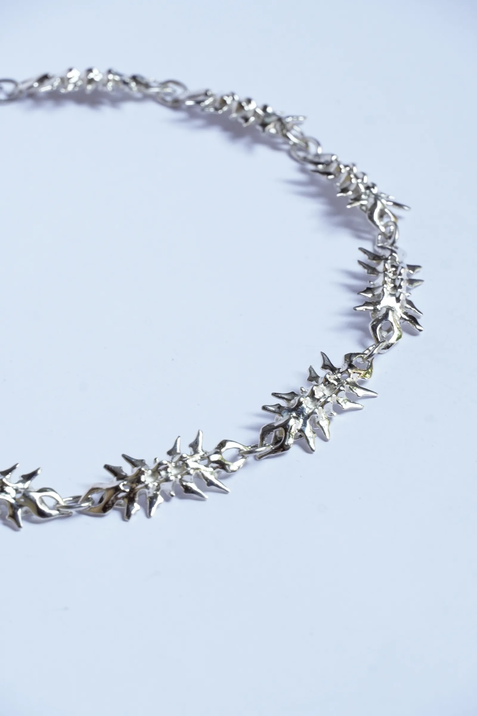 vertebral chain (11) 4