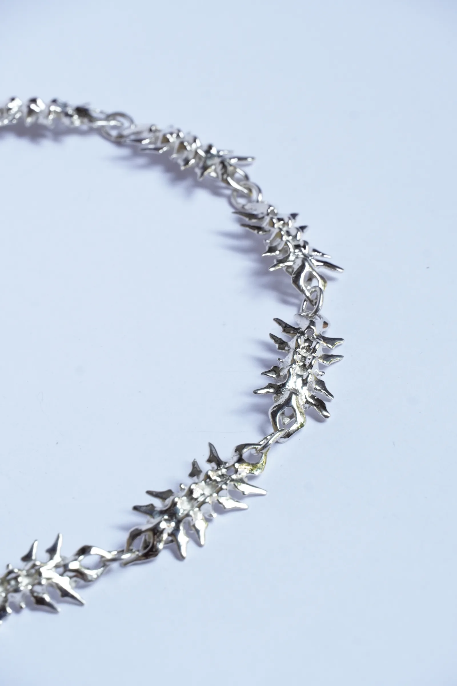 vertebral chain (11) 5