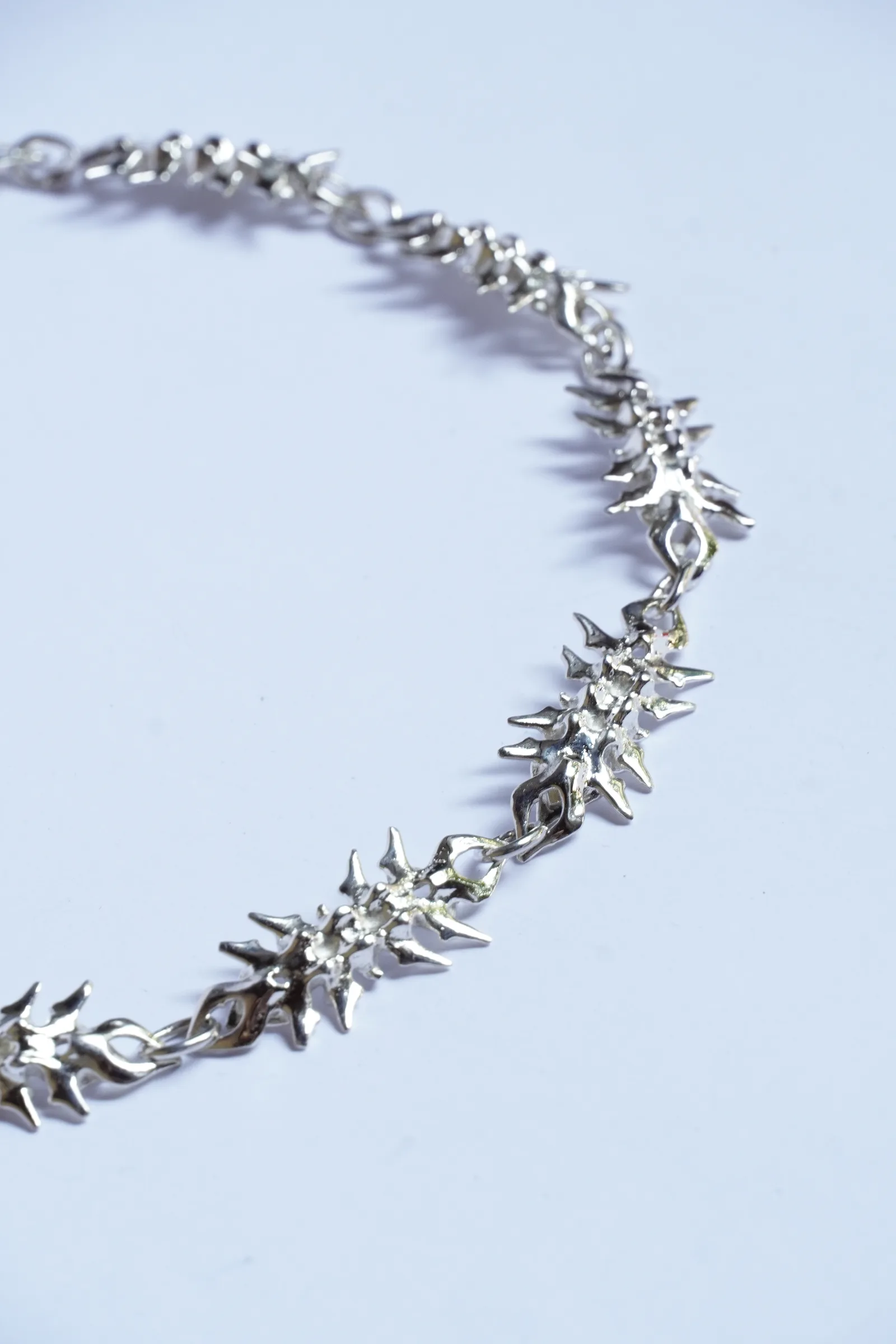 vertebral chain (13) 2