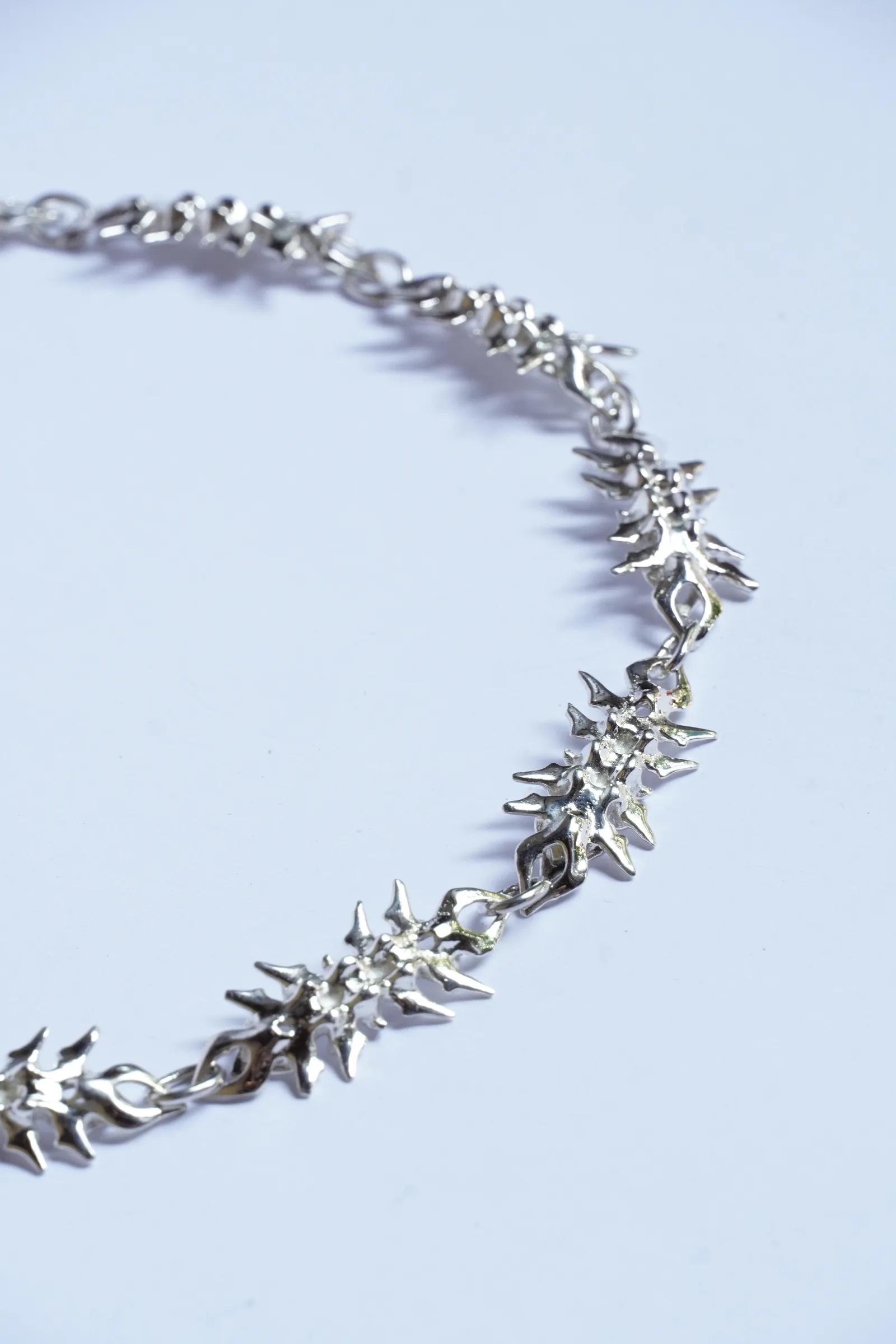 vertebral chain (13) 3