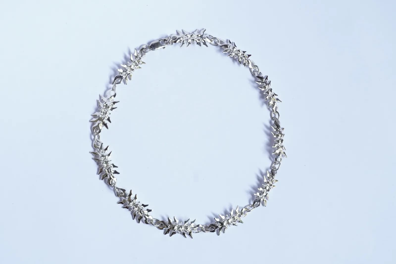 vertebral chain (13) 4