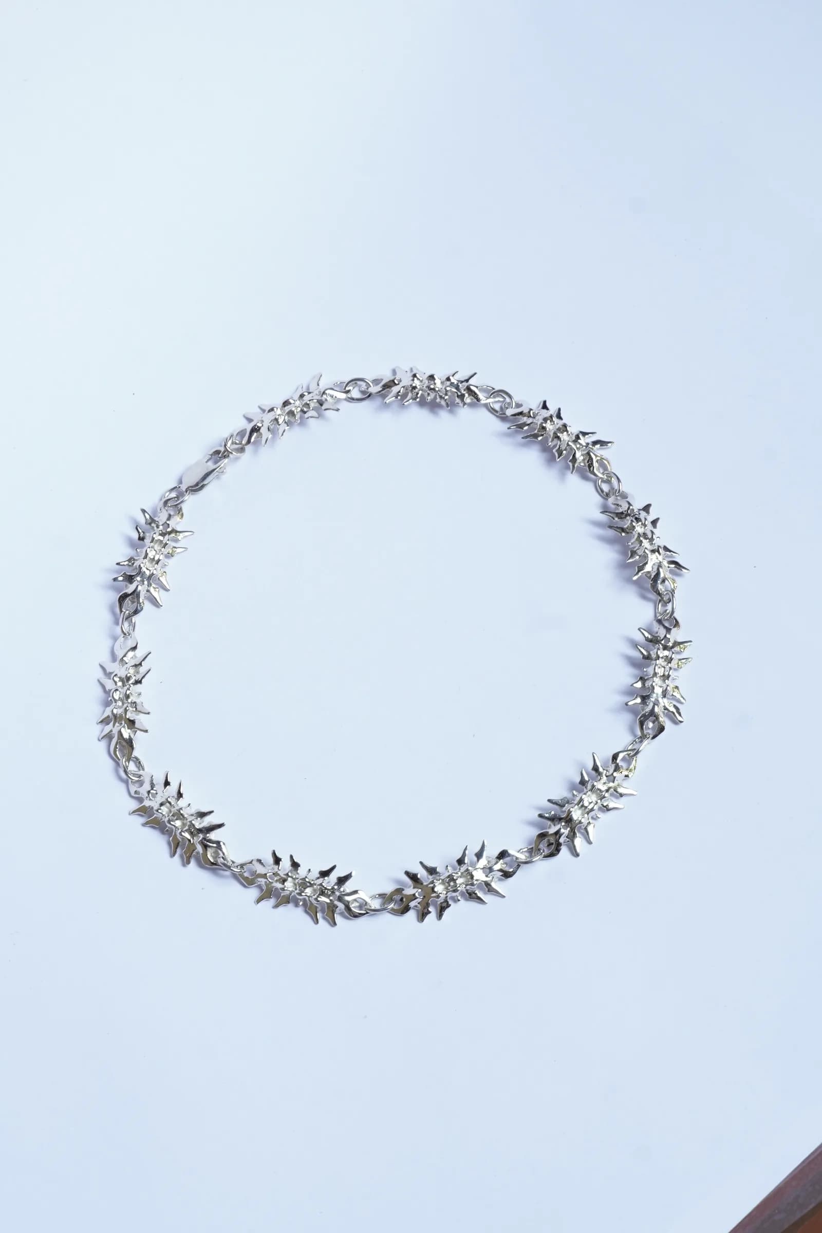 vertebral chain (13) 5