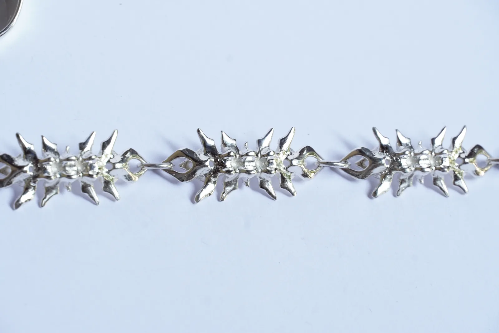 vertebral chain (11) 1
