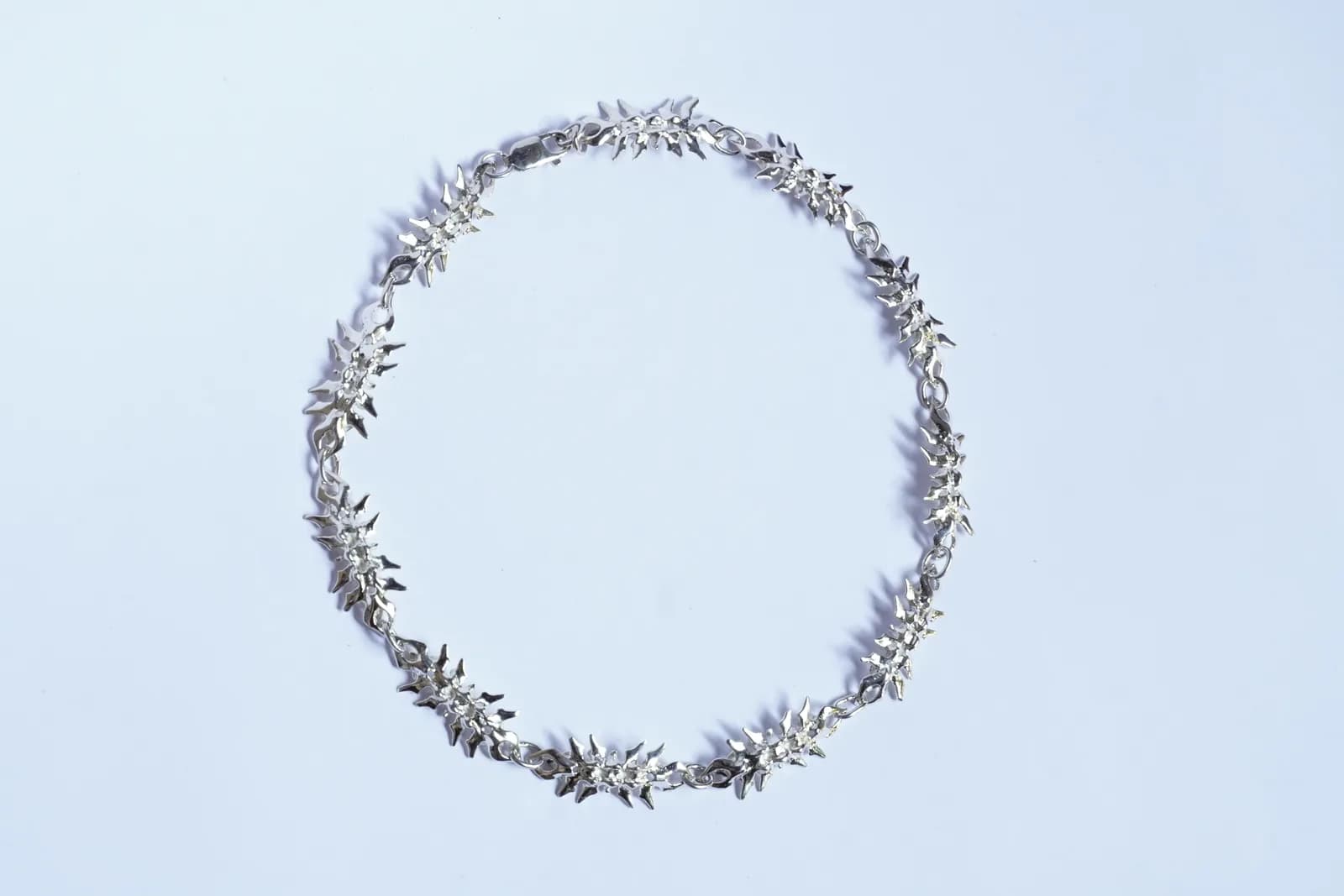 vertebral chain (11) 2