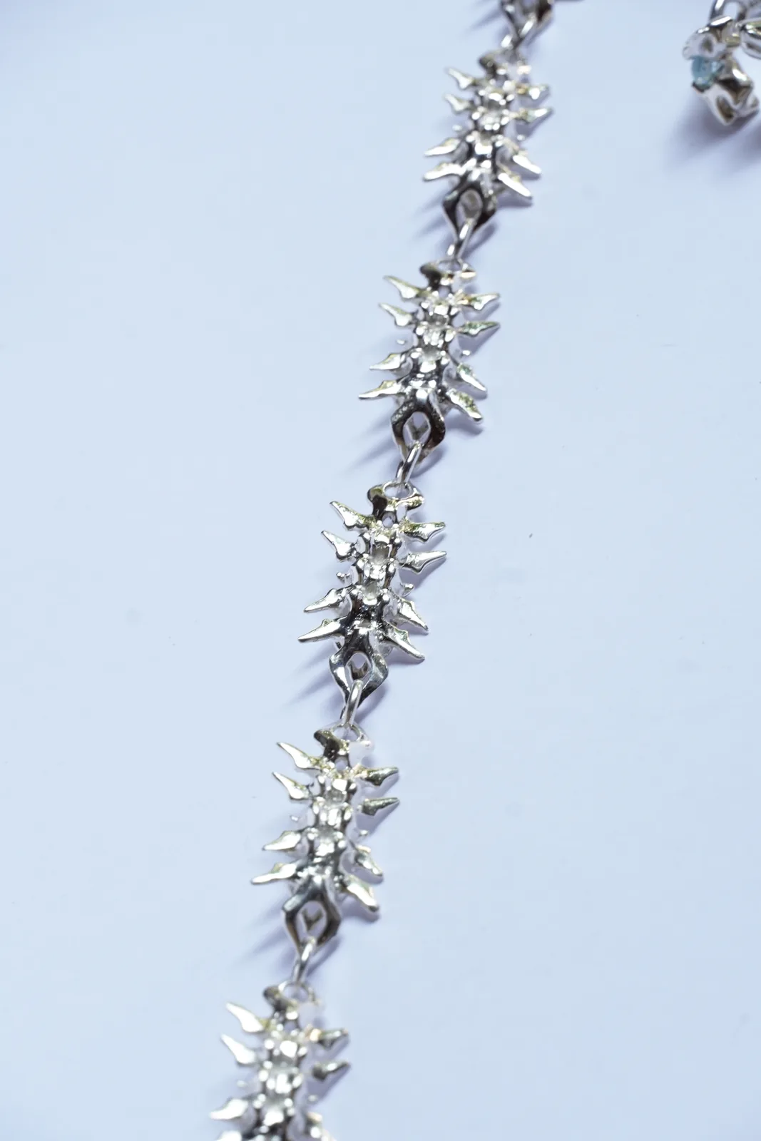 vertebral chain (13) 1