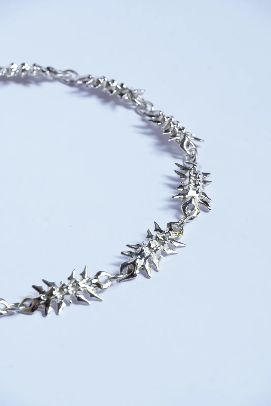 vertebral chain (13) 3